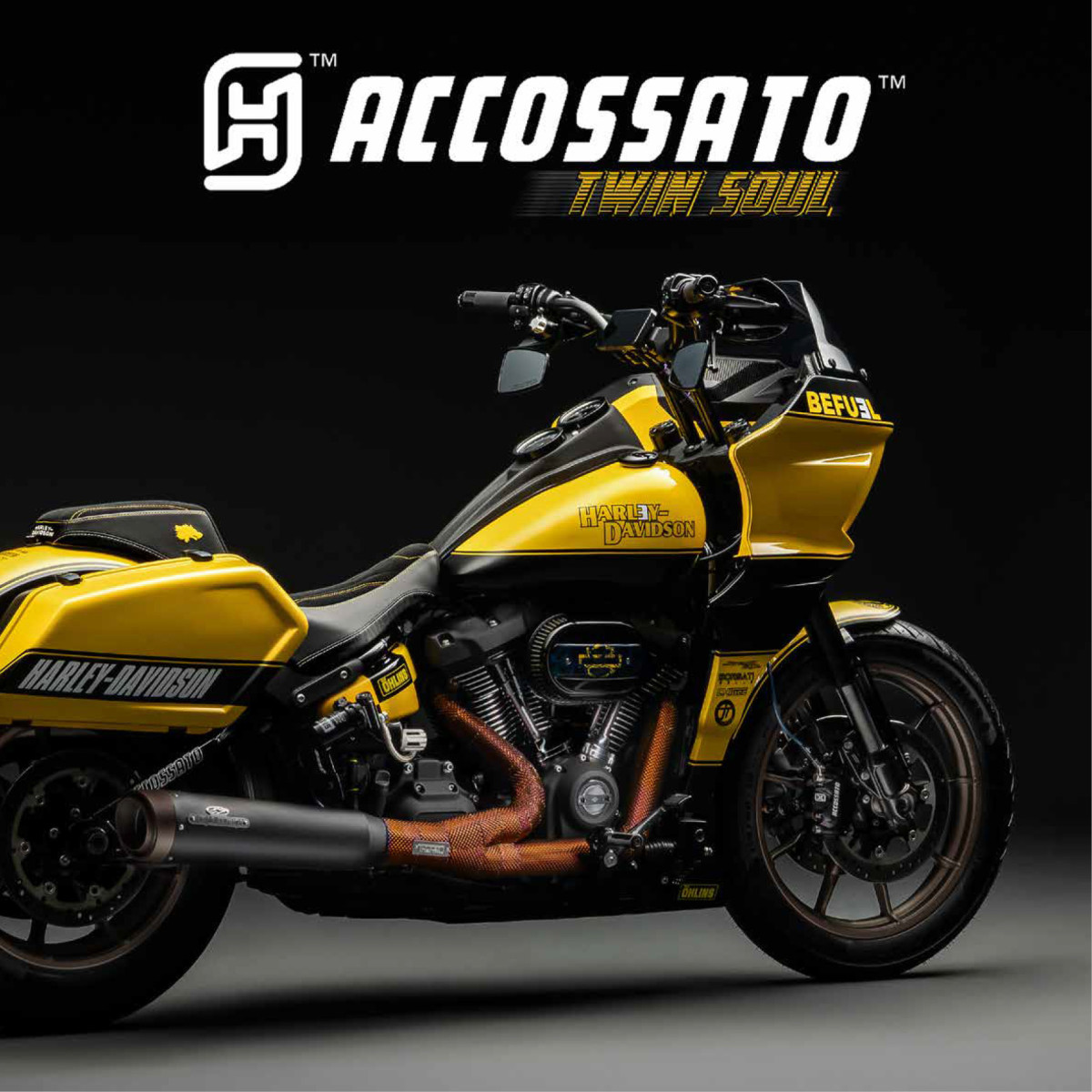 Harley Davidson & Custom