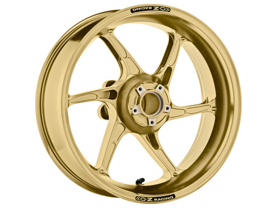 OZ Racing - Cattiva Magnesium 6 Spoke Rear Wheel - GOLD - BMW - C6094BM60X5G